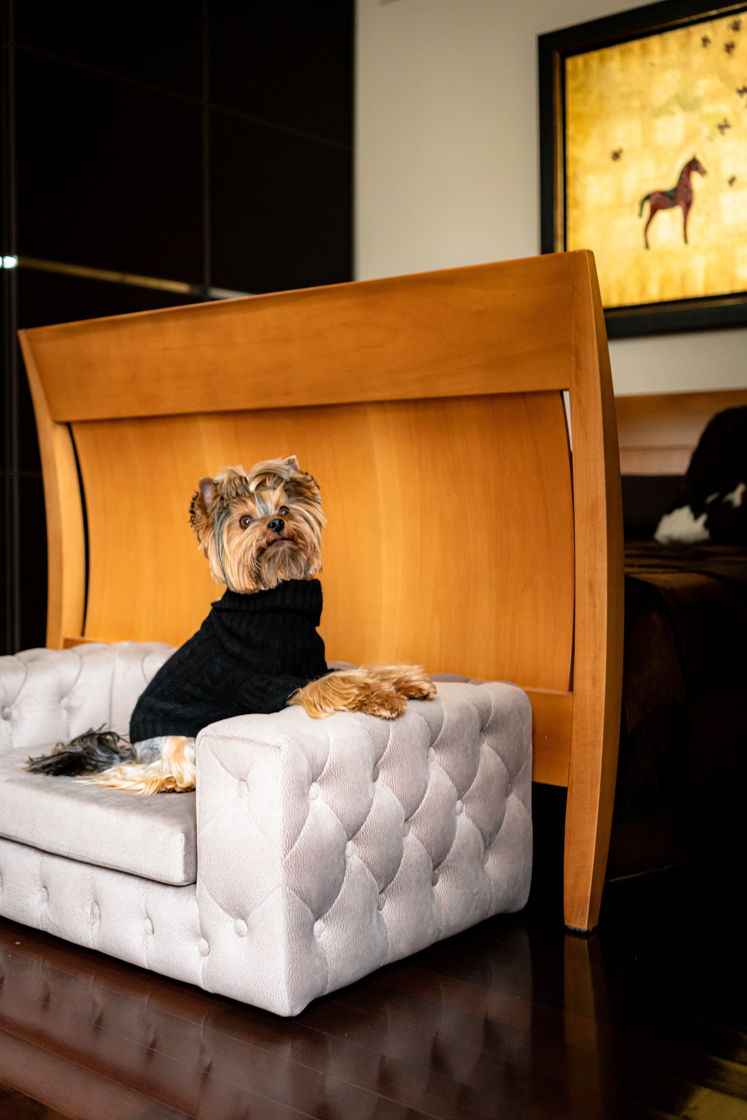 The Royal Luxury Pet Bed in Yellow