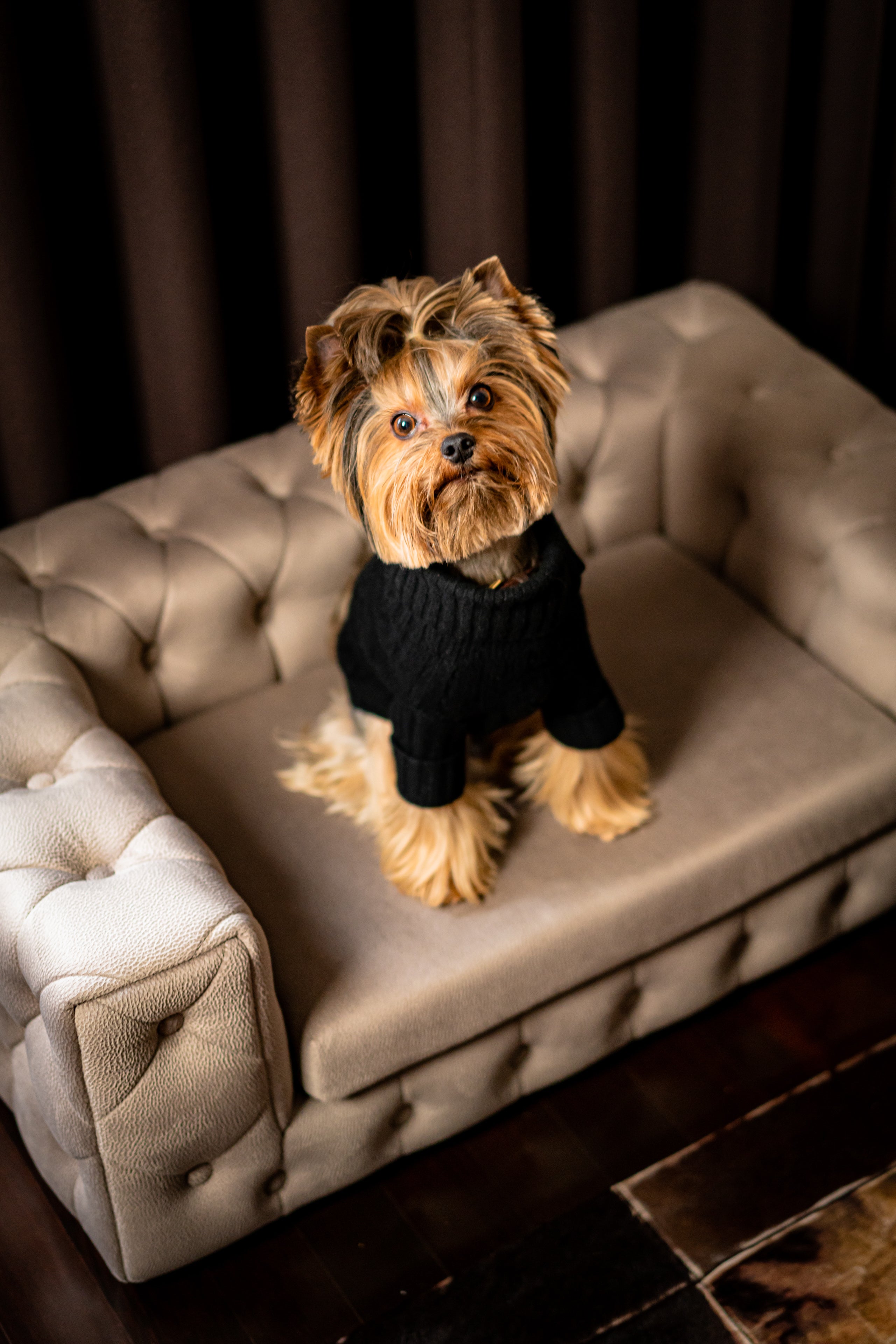 The Royal Luxury Pet Bed in Yellow