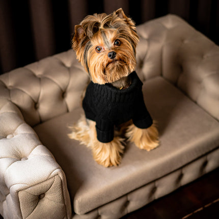 The Royal Luxury Pet Bed in Yellow