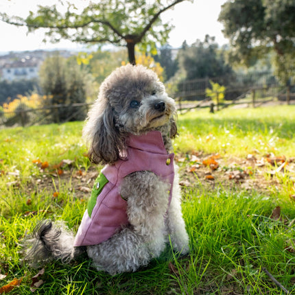 Tailored Pet Down Jacket in Pink Cashmere Reversible