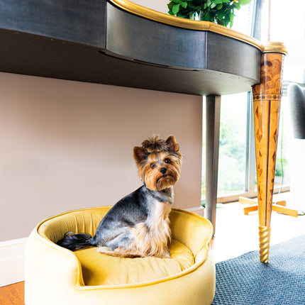 The Yin & Yang Luxury Pet Bed in Yellow