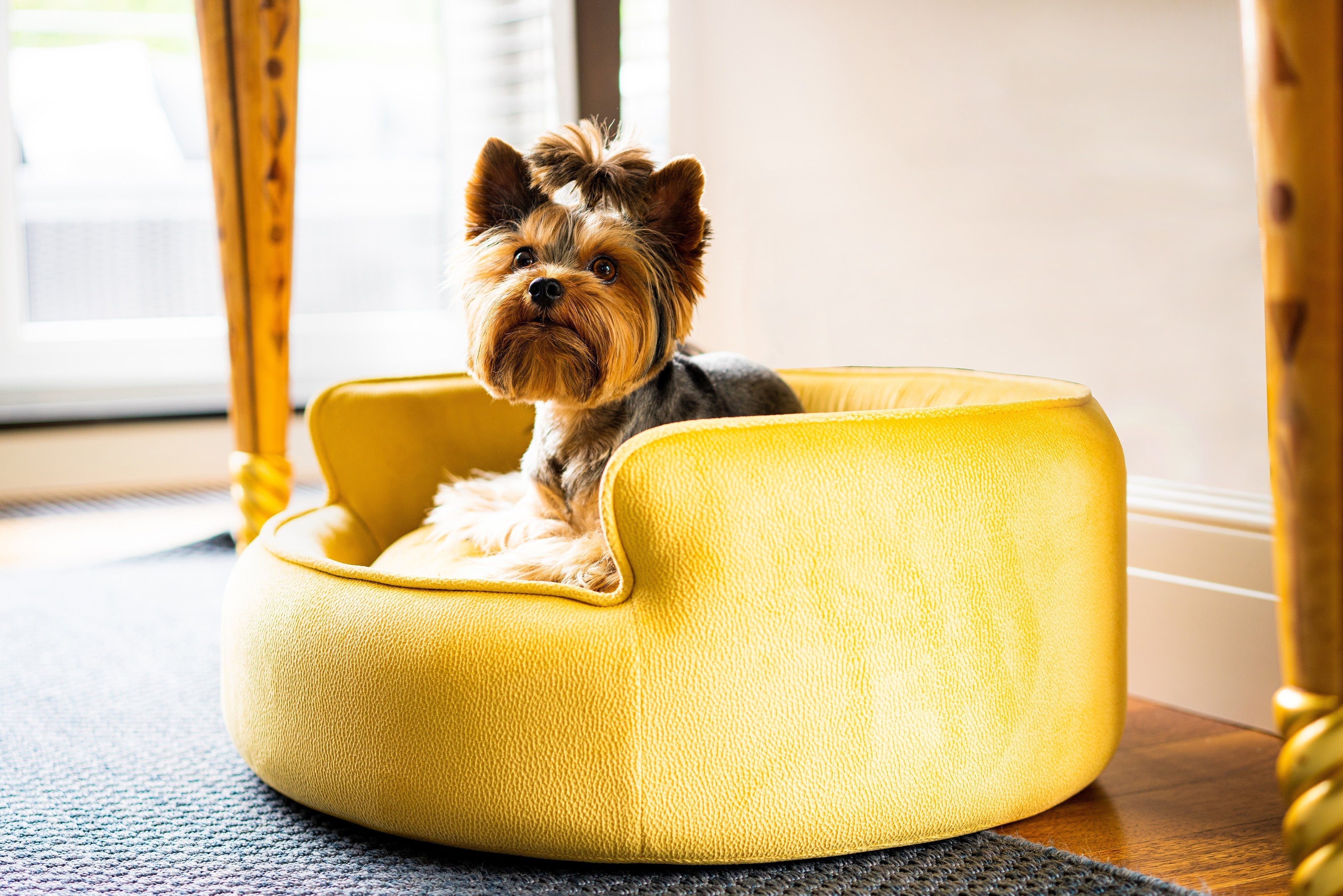 The Yin & Yang Luxury Pet Bed in Dark Brown