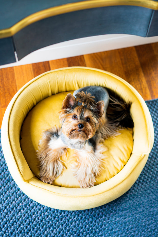 The Yin & Yang Luxury Pet Bed in Yellow