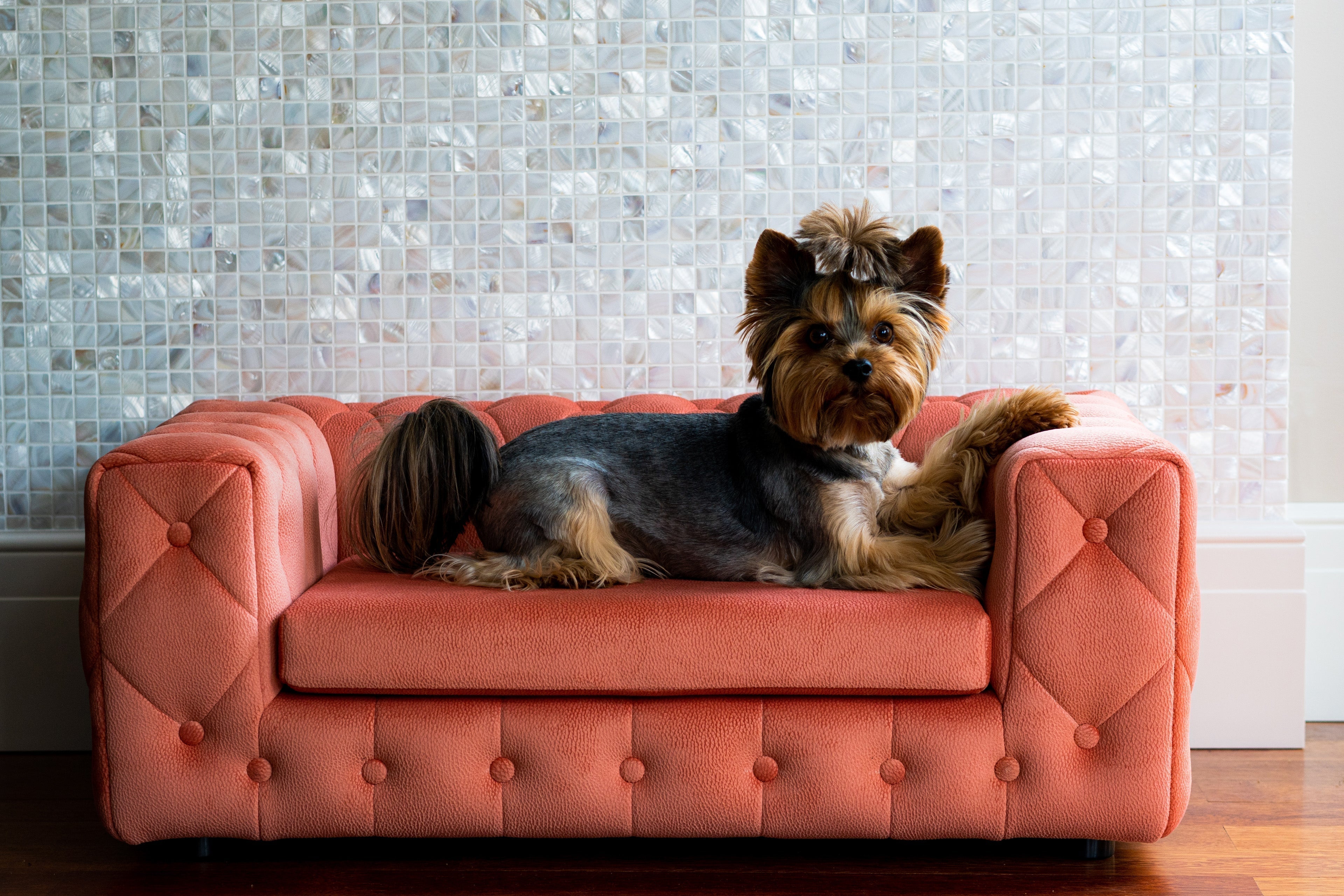 The Royal Luxury Pet Bed in Yellow