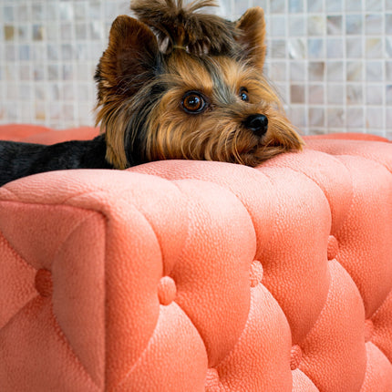 The Royal Luxury Pet Bed in Dark Brown