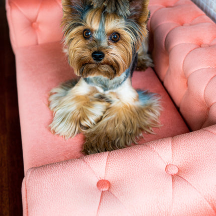 The Royal Luxury Pet Bed in Yellow