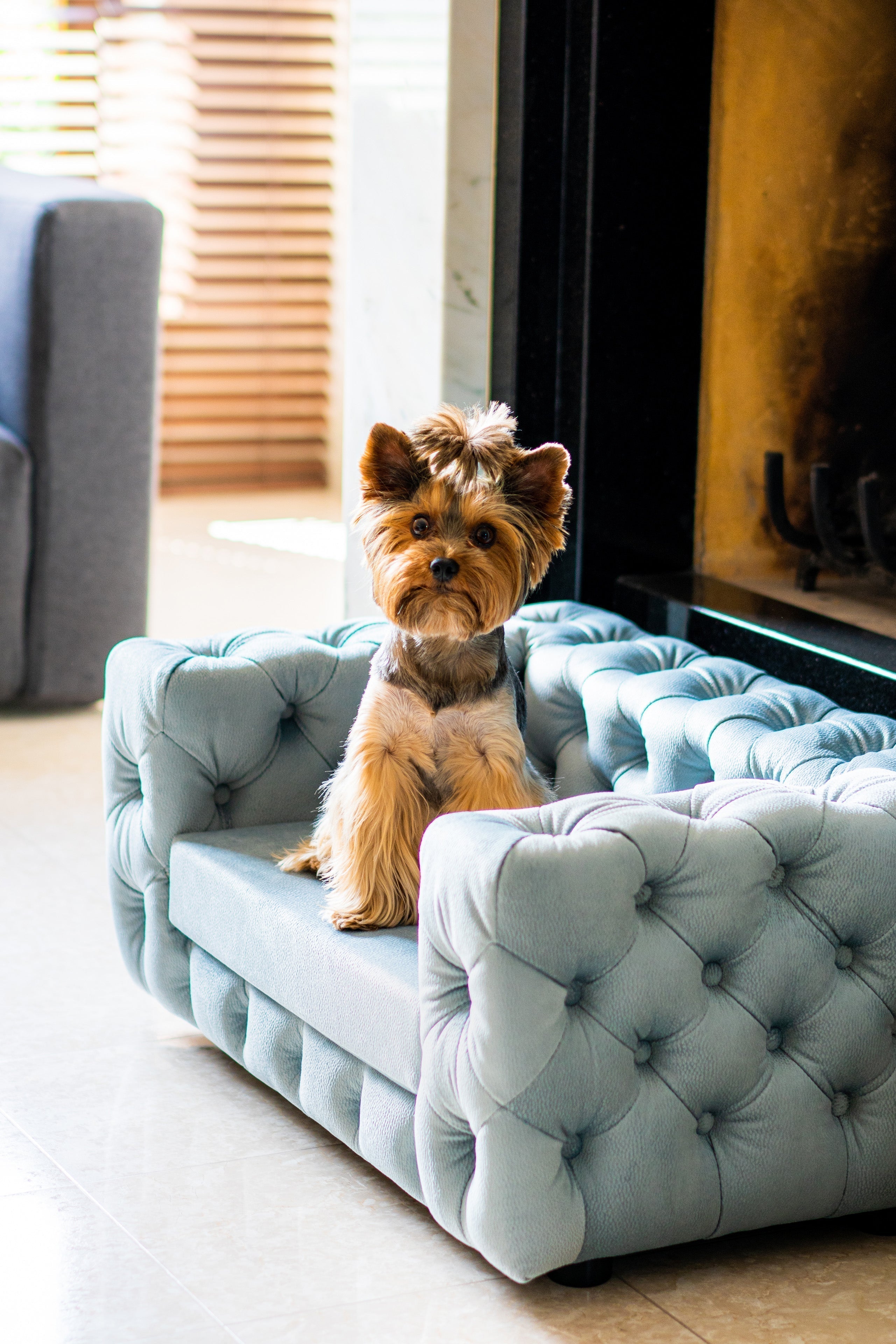 The Glamour Luxury Pet Bed in Yellow