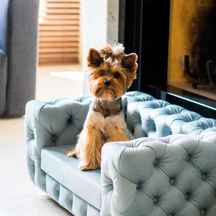 The Glamour Luxury Pet Bed in Yellow