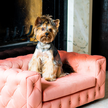 The Royal Luxury Pet Bed in Pink