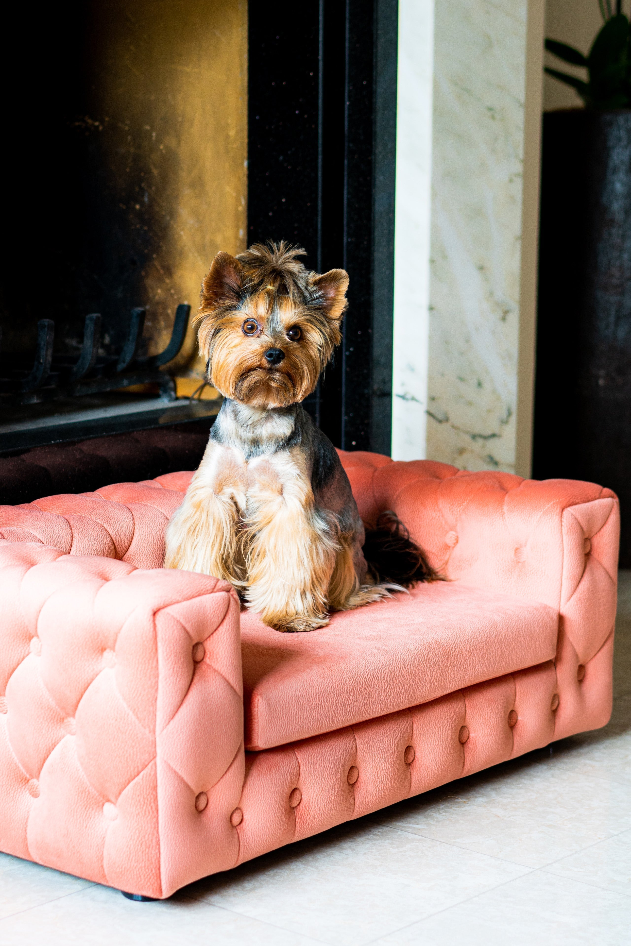 The Royal Luxury Pet Bed in Yellow