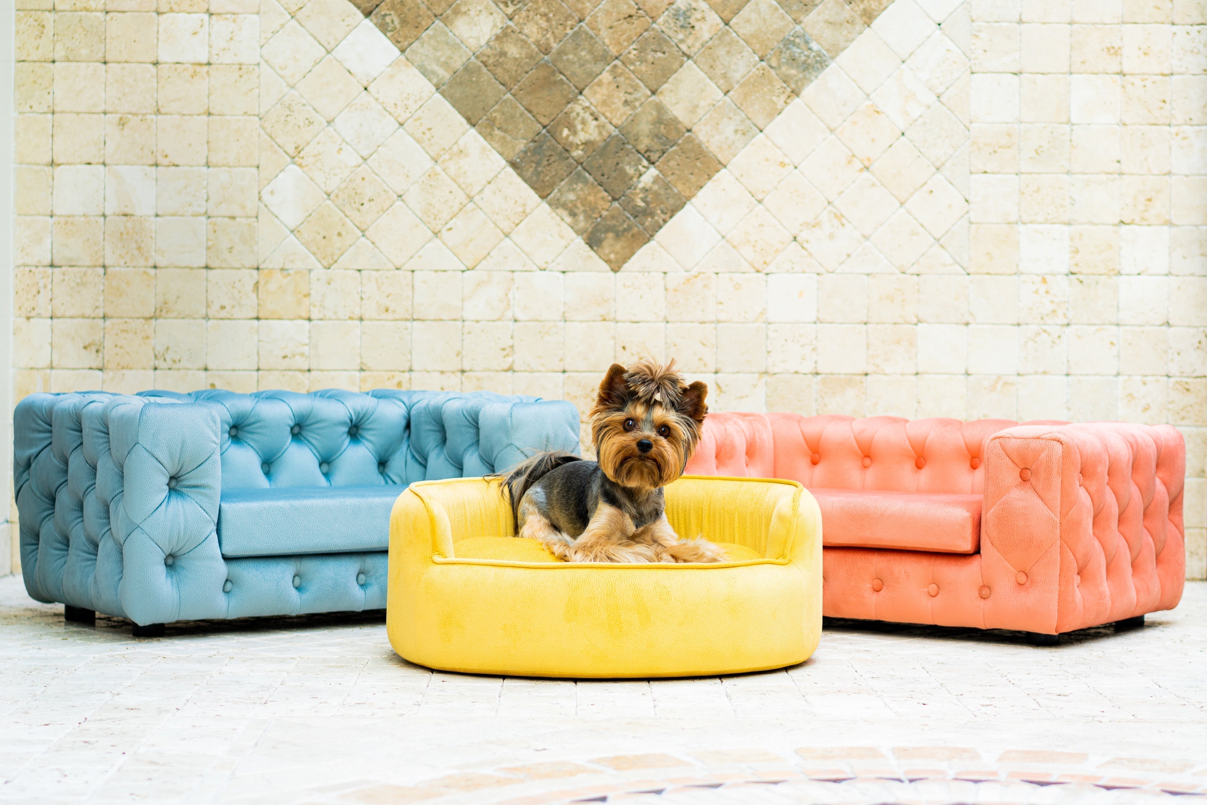 The Glamour Luxury Pet Bed in Yellow