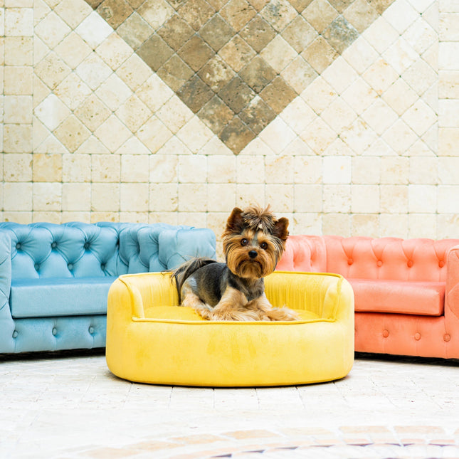 The Glamour Luxury Pet Bed in Yellow