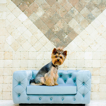 The Glamour Luxury Pet Bed in Yellow