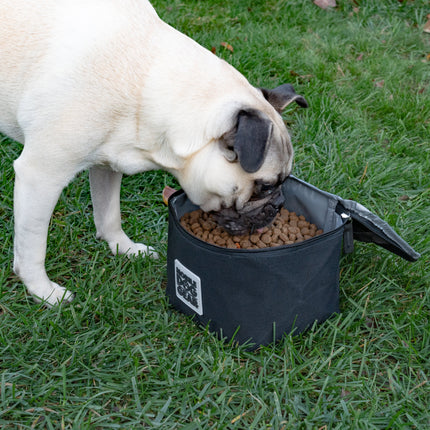 Replacement Insulated Dog Food Carriers