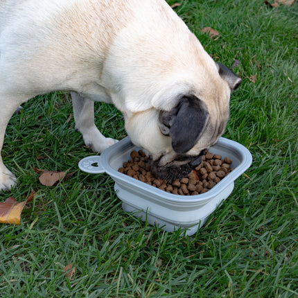 Replacement Collapsible Dog Bowls