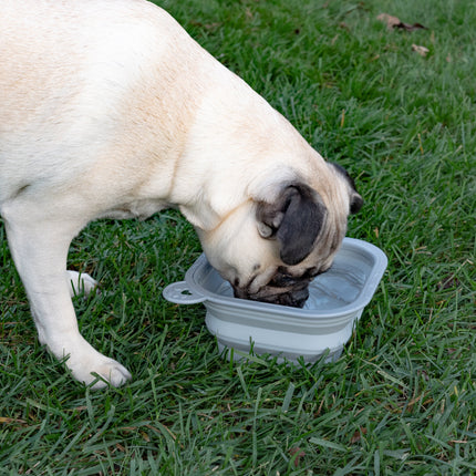 Replacement Collapsible Dog Bowls