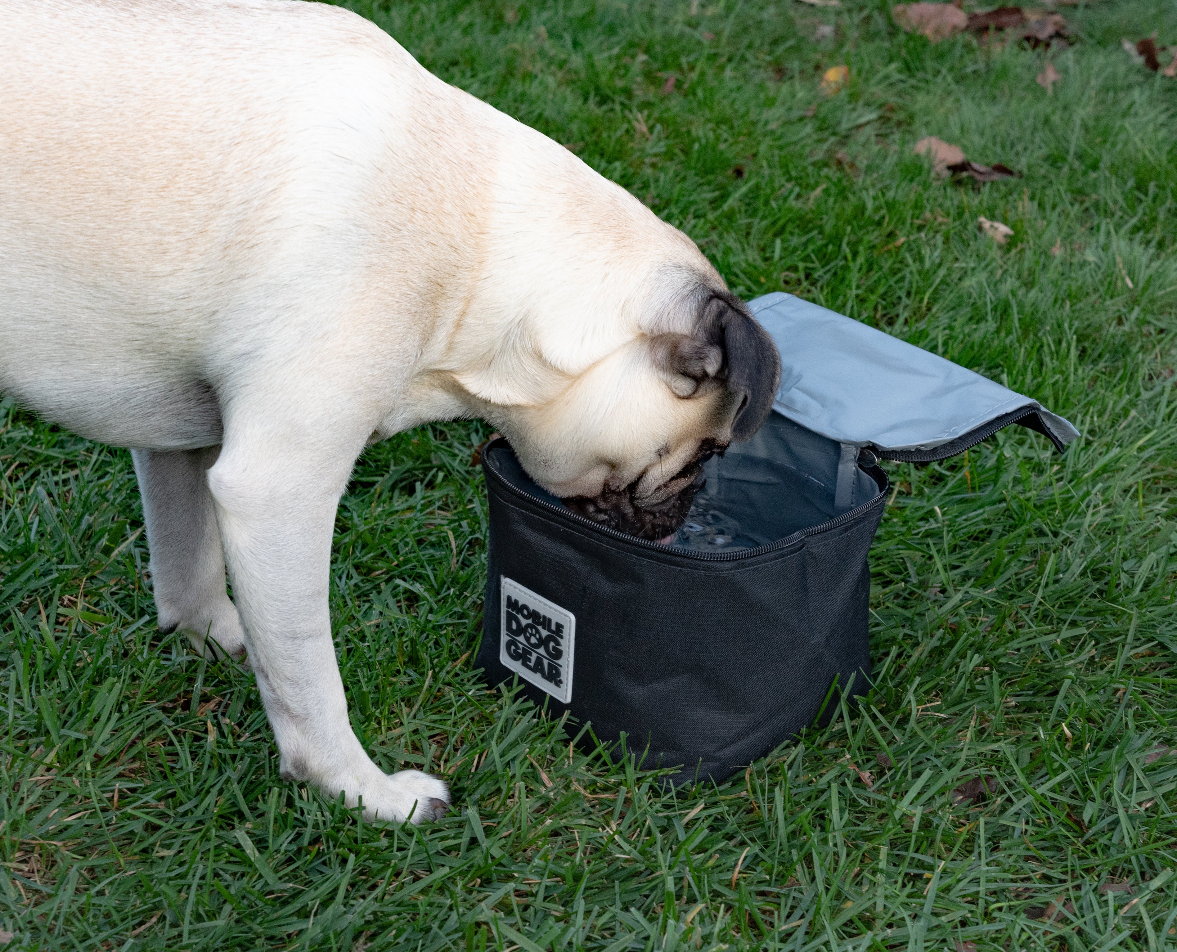 Replacement Insulated Dog Food Carriers