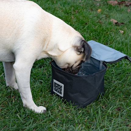 Replacement Insulated Dog Food Carriers