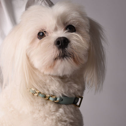 Chain Collar in Cloud Leather