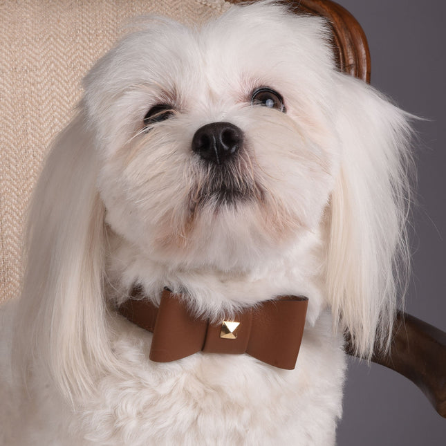 Rock Bow Brown Leather Collar