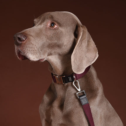 Classic Ribbon Collar in Wine Red