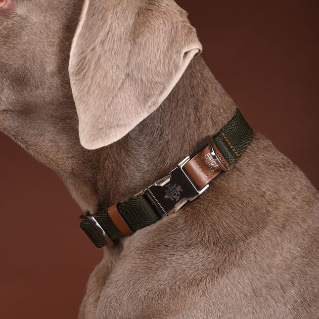 Classic Ribbon Collar in Military Green