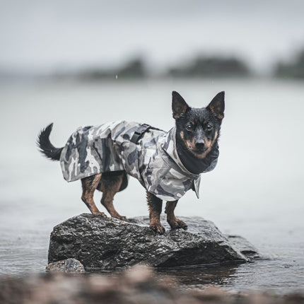 Recovery Raincoat Camo for Dogs