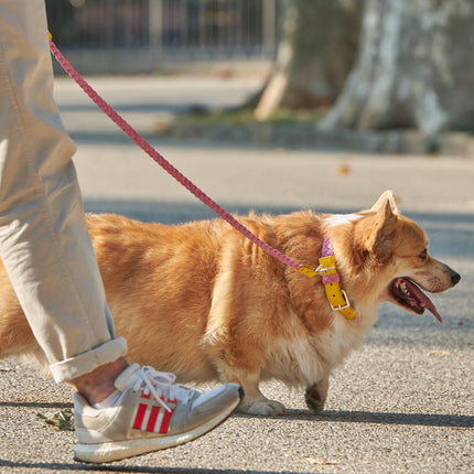 Yellow & Pink Braid-Leash