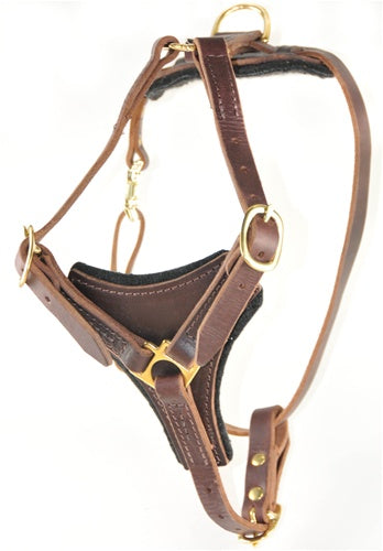 Dean's Choice Harness