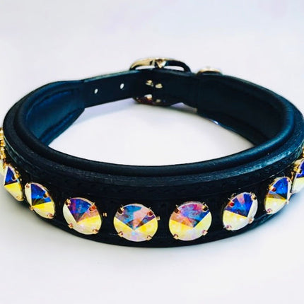 Delight Dog Collar #2