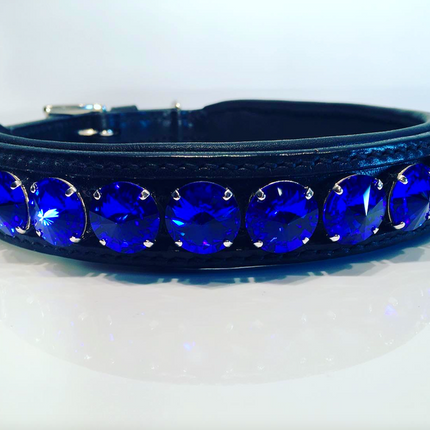 Delight Dog Collar #3