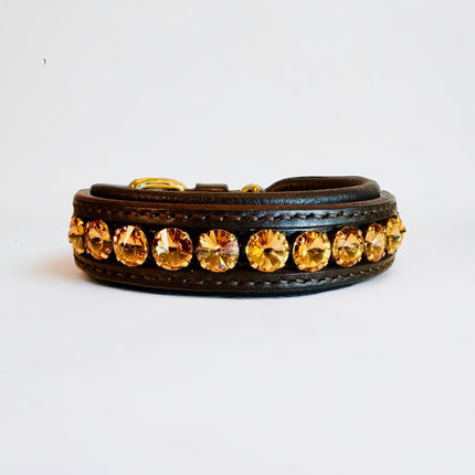 Delight Dog Collar #4