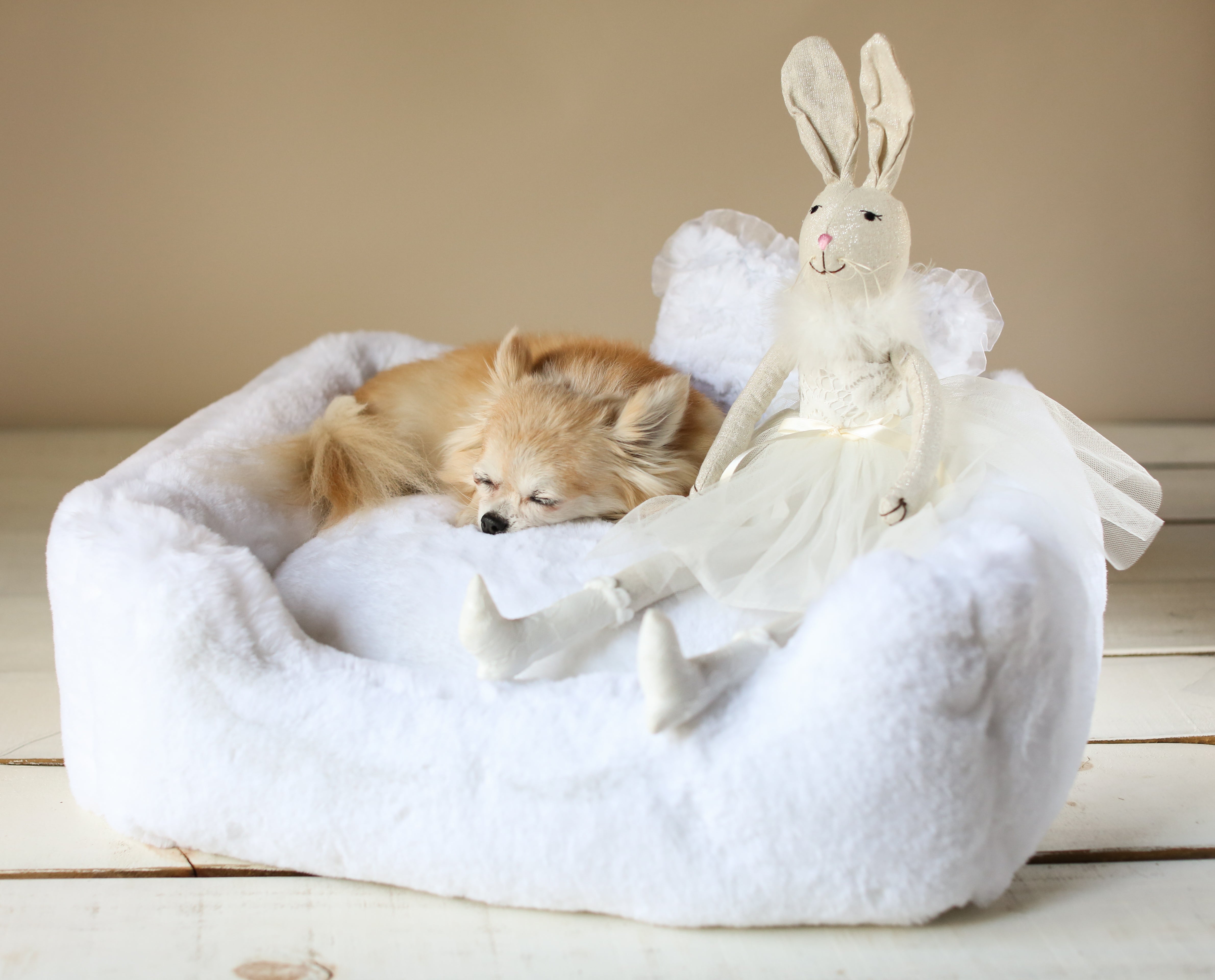 The Divine Dog Bed