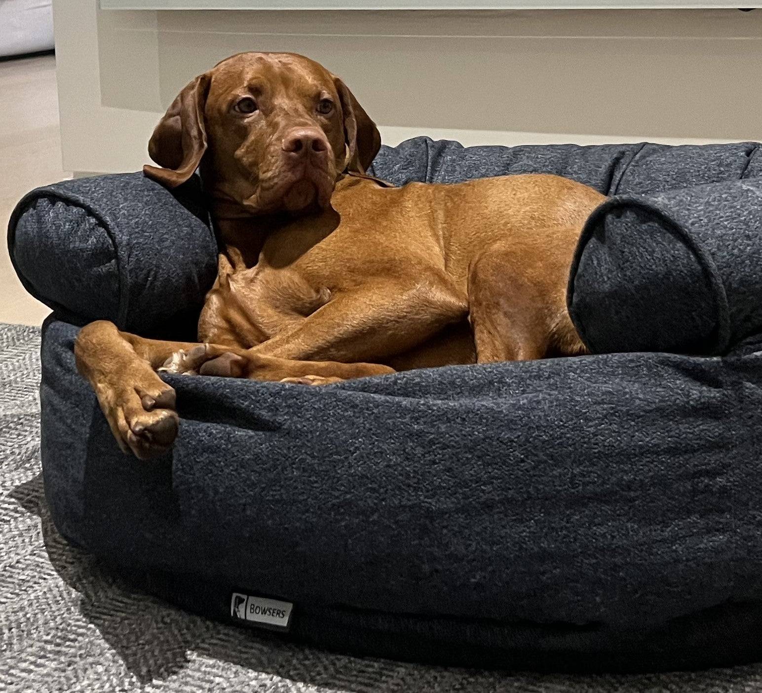 Double Donut Bed in River