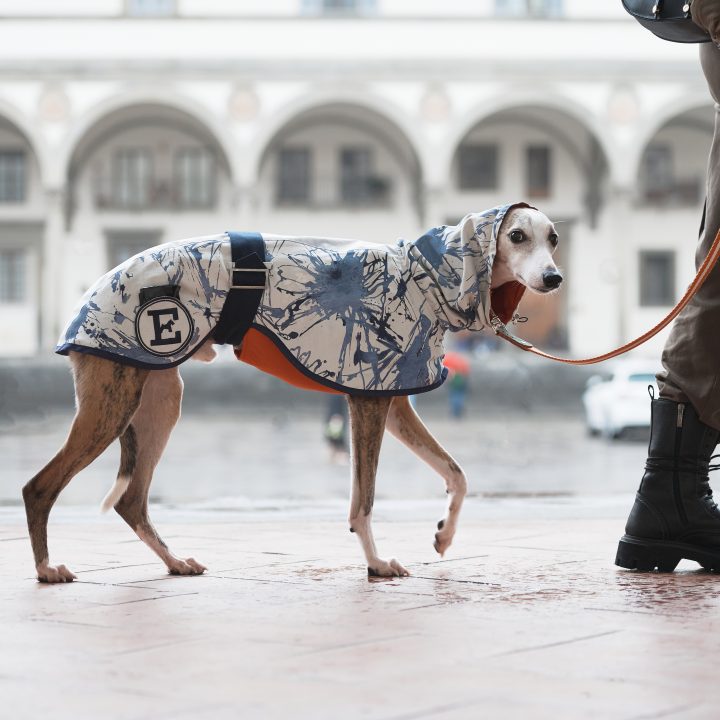 Sketches Raincoat for Greyhounds