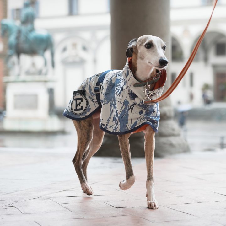 Sketches Raincoat for Greyhounds