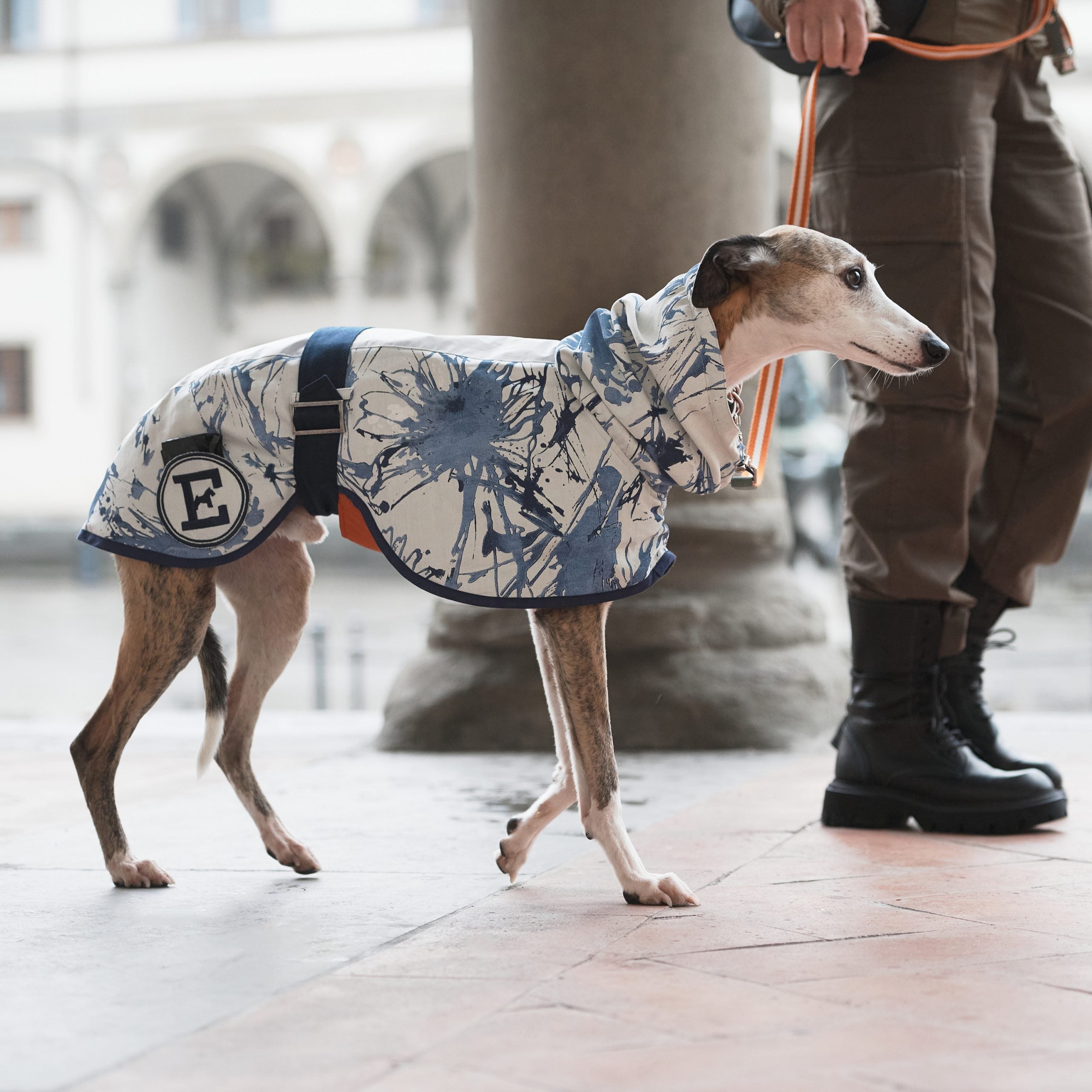 Sketches Raincoat for Greyhounds