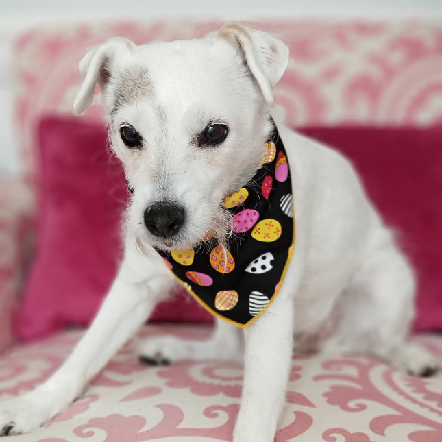 Easter Egg Dog Bandana