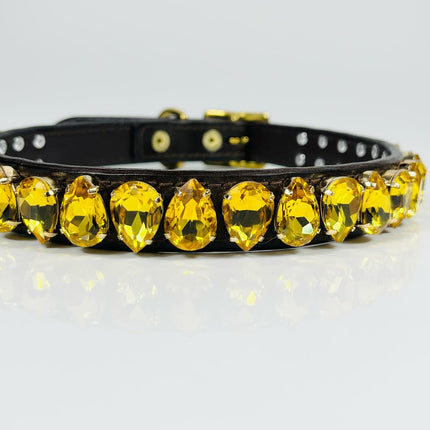 Easy Liz Dog Collar in Light Topaz