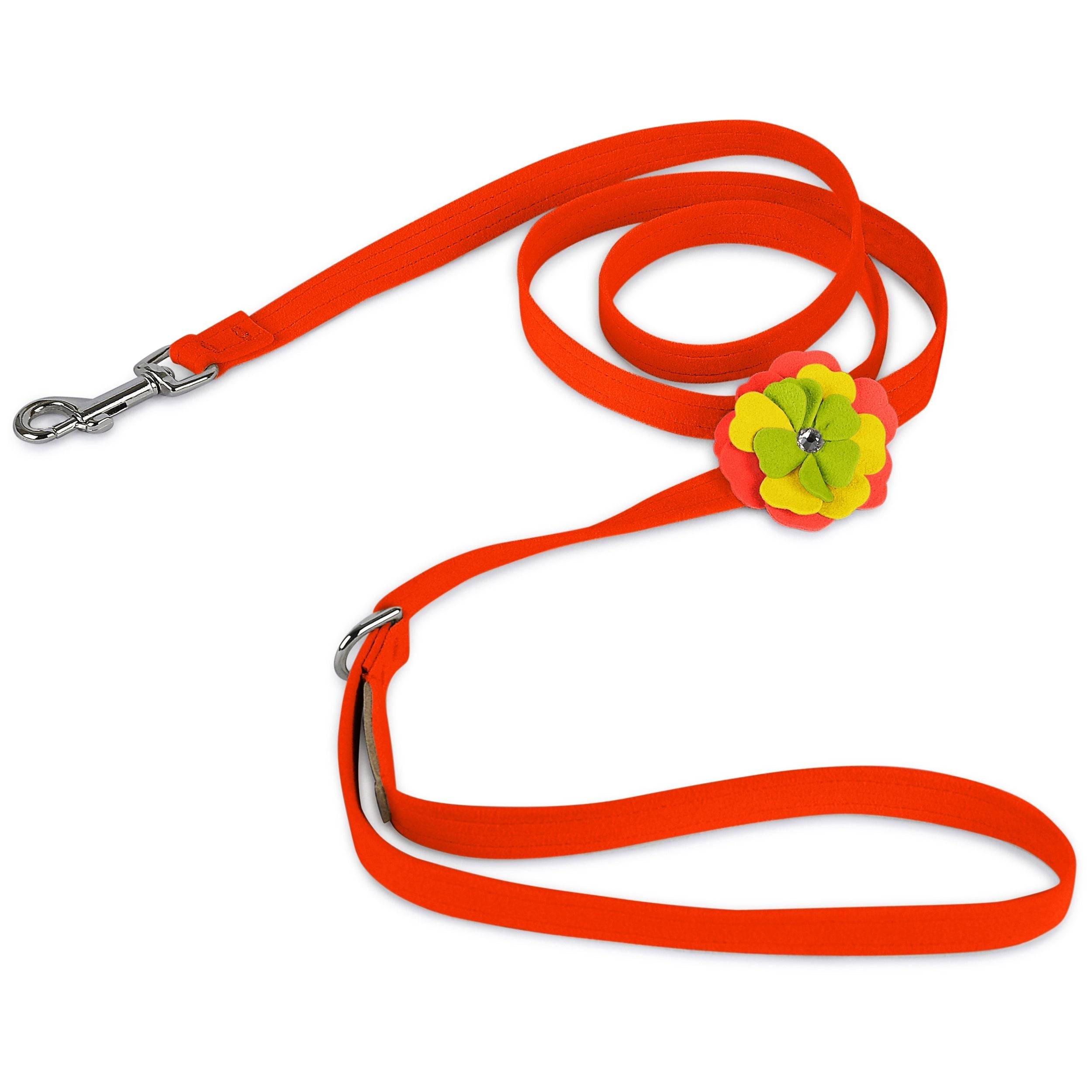 Citrus Flower Leash Electric Orange