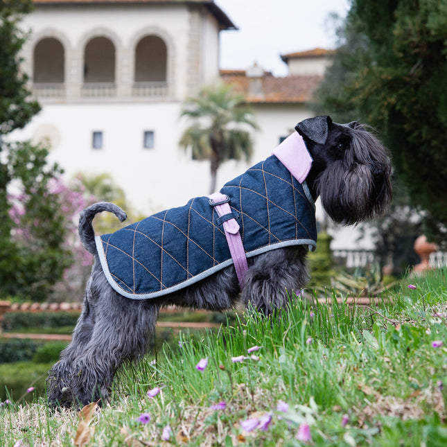 Denim & Pink