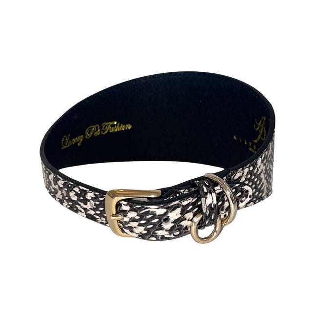 Black & White 3” Wide Style Snake Collar