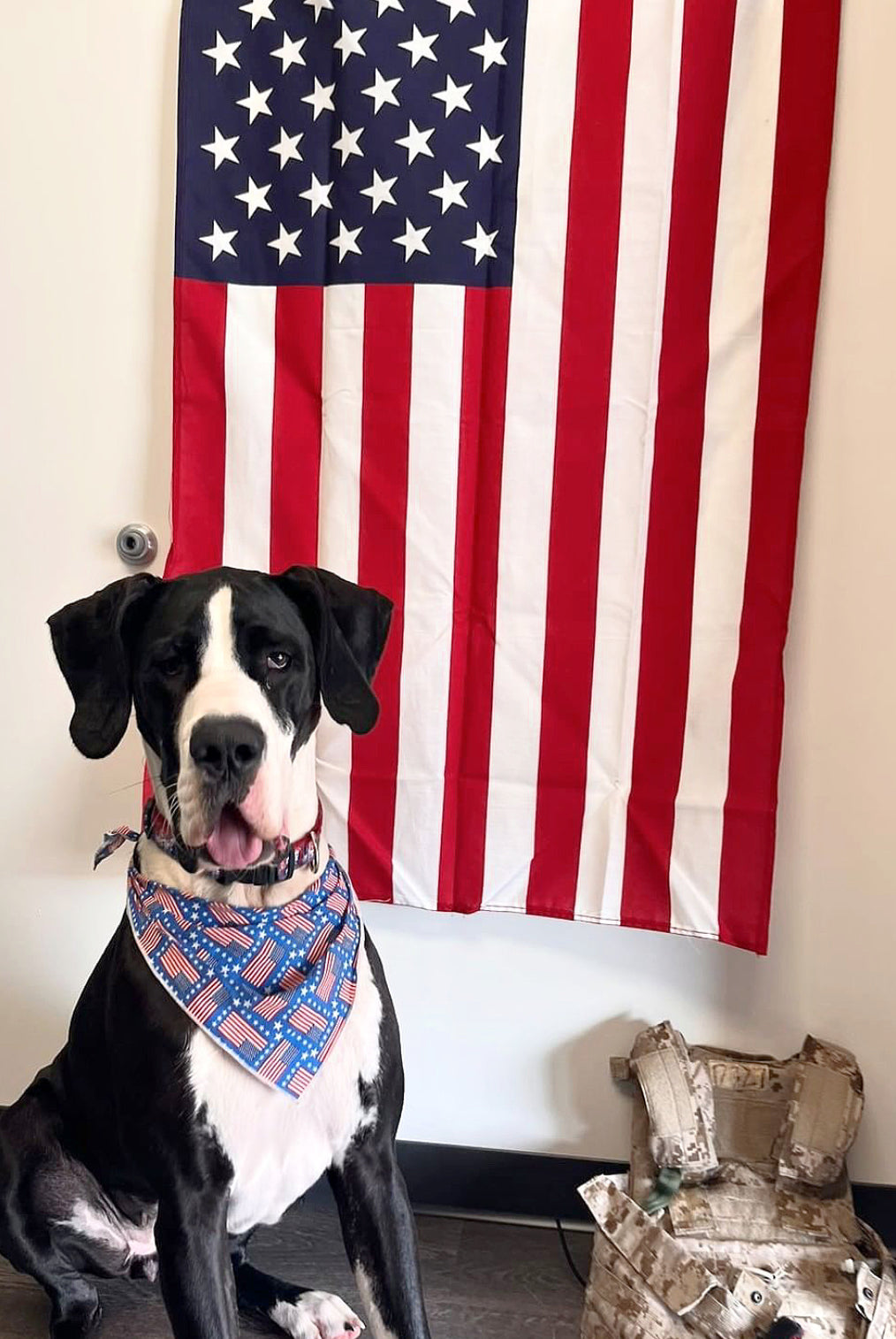 American Flag Dog Bandana