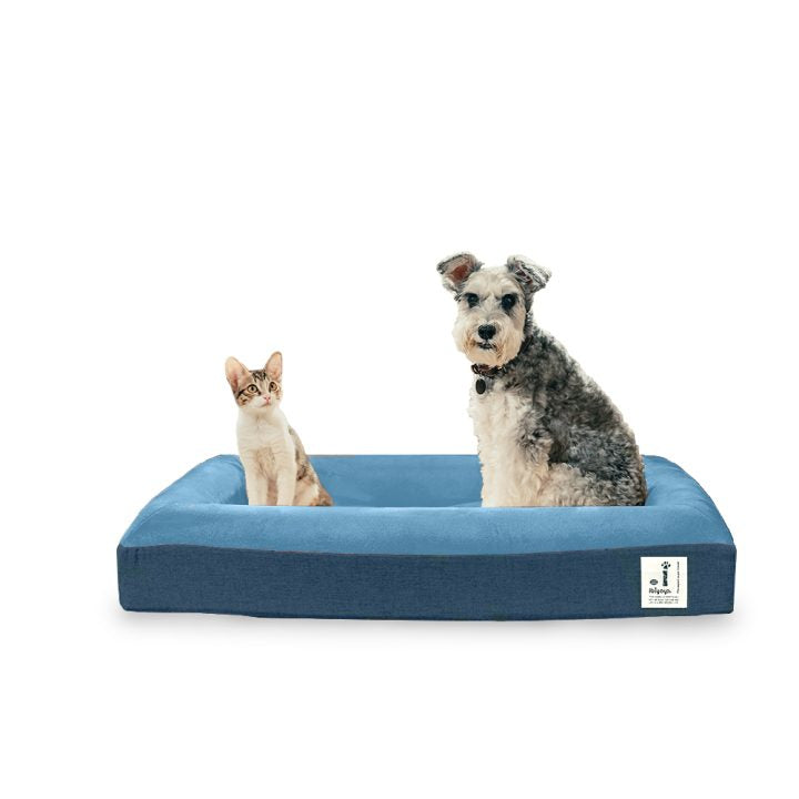 Deep Sleep Orthopedic Dog Bed