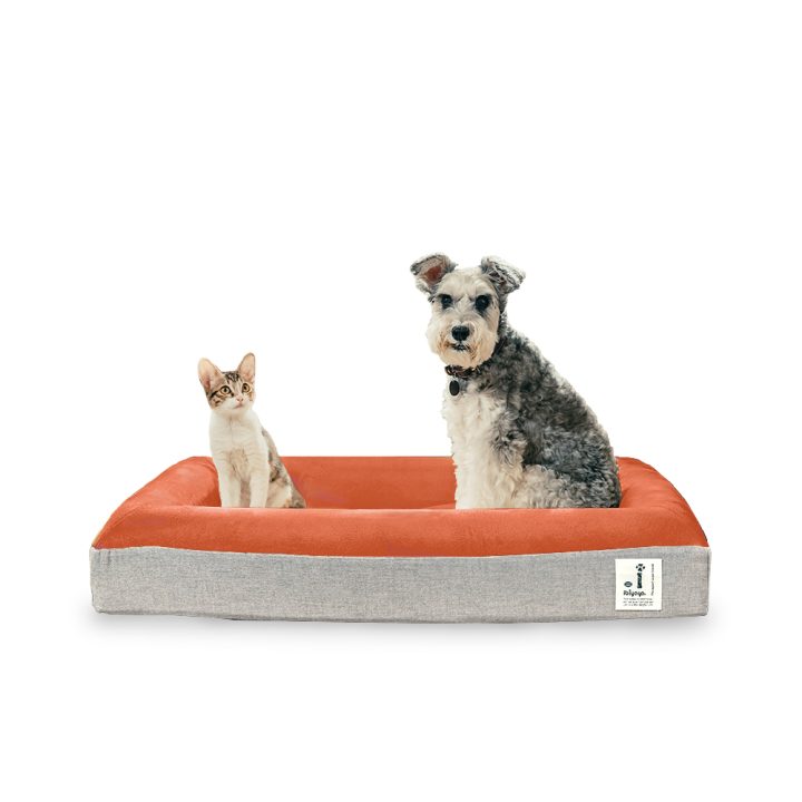 Deep Sleep Orthopedic Dog Bed