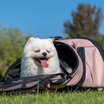 Ultralight Pro Pet Backpack Carrier Airline Approved