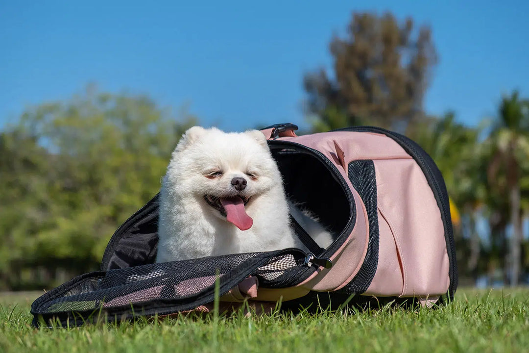 Ultralight Pro Pet Backpack Carrier Airline Approved