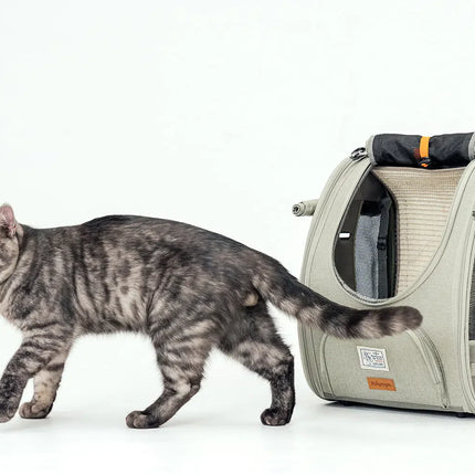 Adventure Cat Carrier Backpack with Window Airline Approved Cat Bag