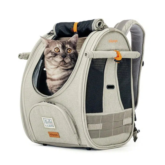 Adventure Cat Carrier Backpack with Window Airline Approved Cat Bag