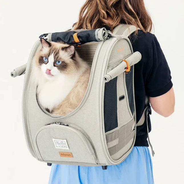 Adventure Cat Carrier Backpack with Window Airline Approved Cat Bag